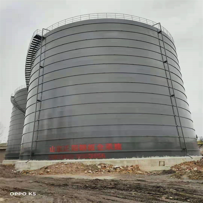 毛道乡3万吨大型钢板库